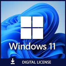 Windows 11 Pro 
 Lifetime Validity