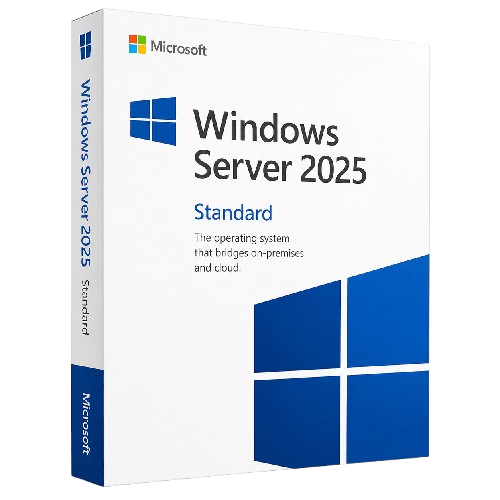 Windows Server 2025
 Standard  Lifetime Key